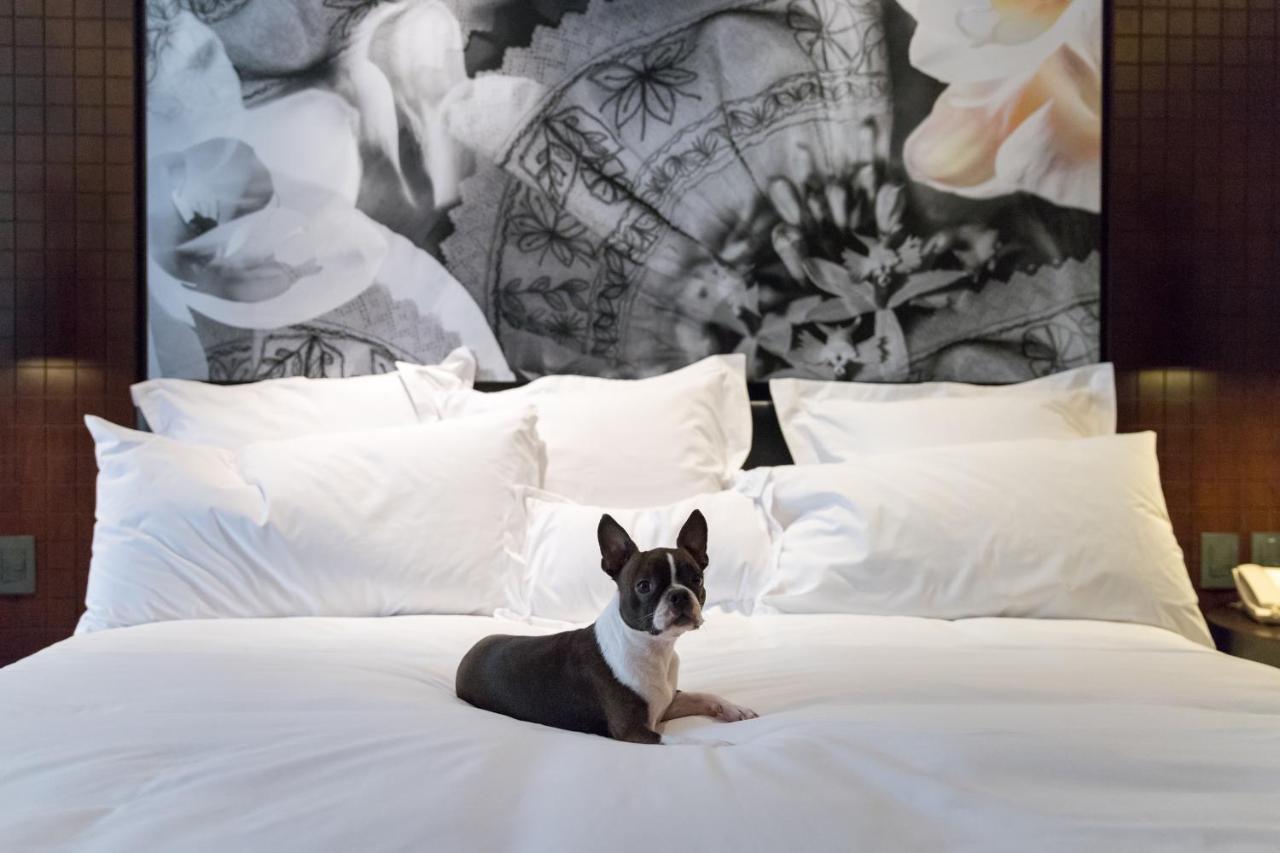 Country Club Lima Hotel - The Leading Hotels Of The World エクステリア 写真